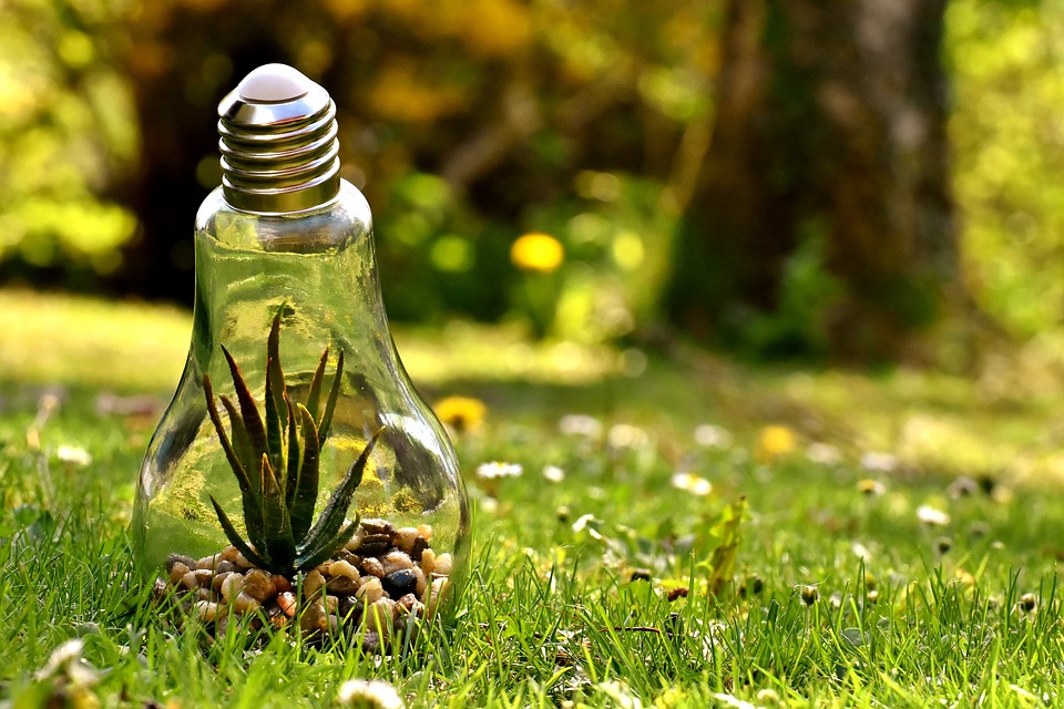 Fundamental Environmental Issues
